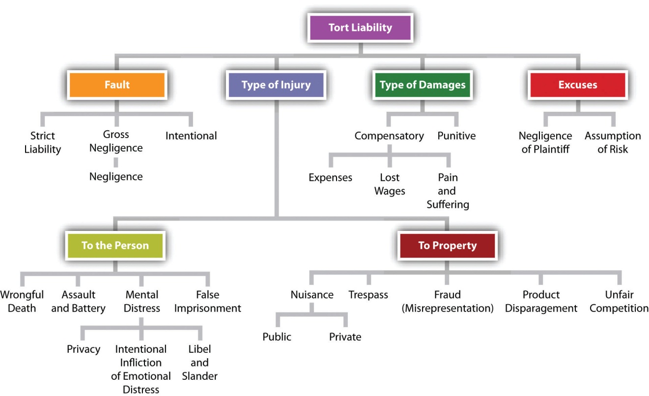 examples of the different types of torts explained