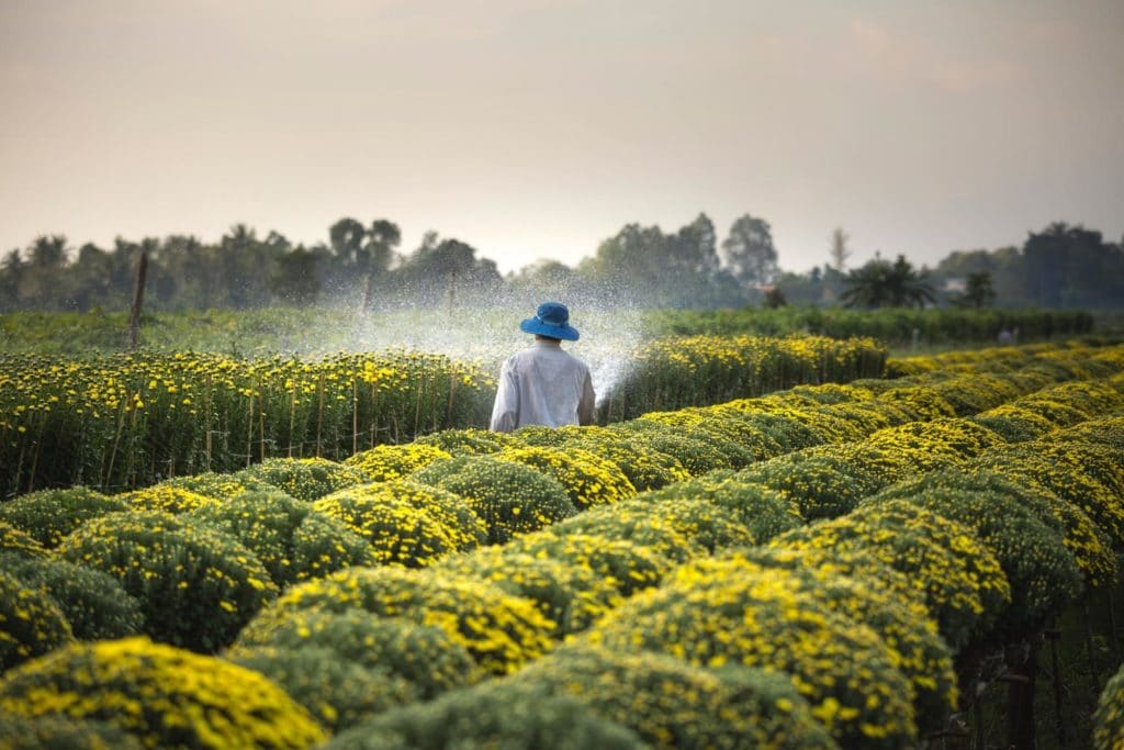 examples of the green revolution impact and innovations