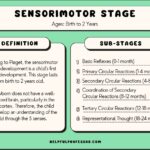 examples of the sensorimotor stage in child development