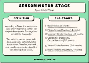 Examples of the Sensorimotor Stage in Child Development