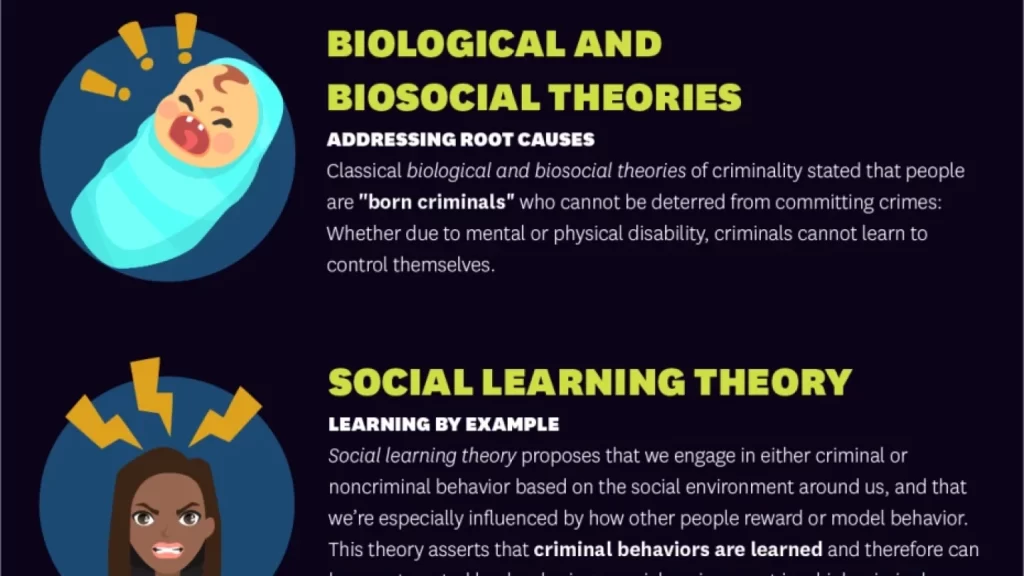 examples of the sociological theory of crime explained