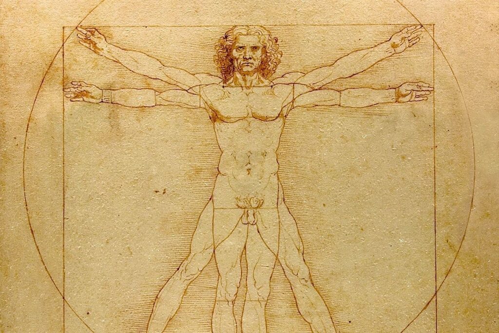 examples of the vitruvian man in art and design