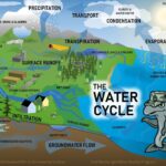 Examples of the Water Cycle in Our Environment examples of the water cycle in our environment