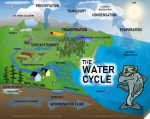 Collection Water Cycle Examples Examples of the Water Cycle in Our Environment
