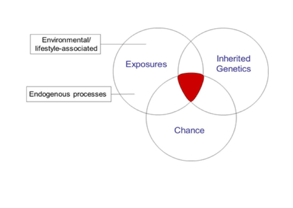 examples of things that cause mutations in dna
