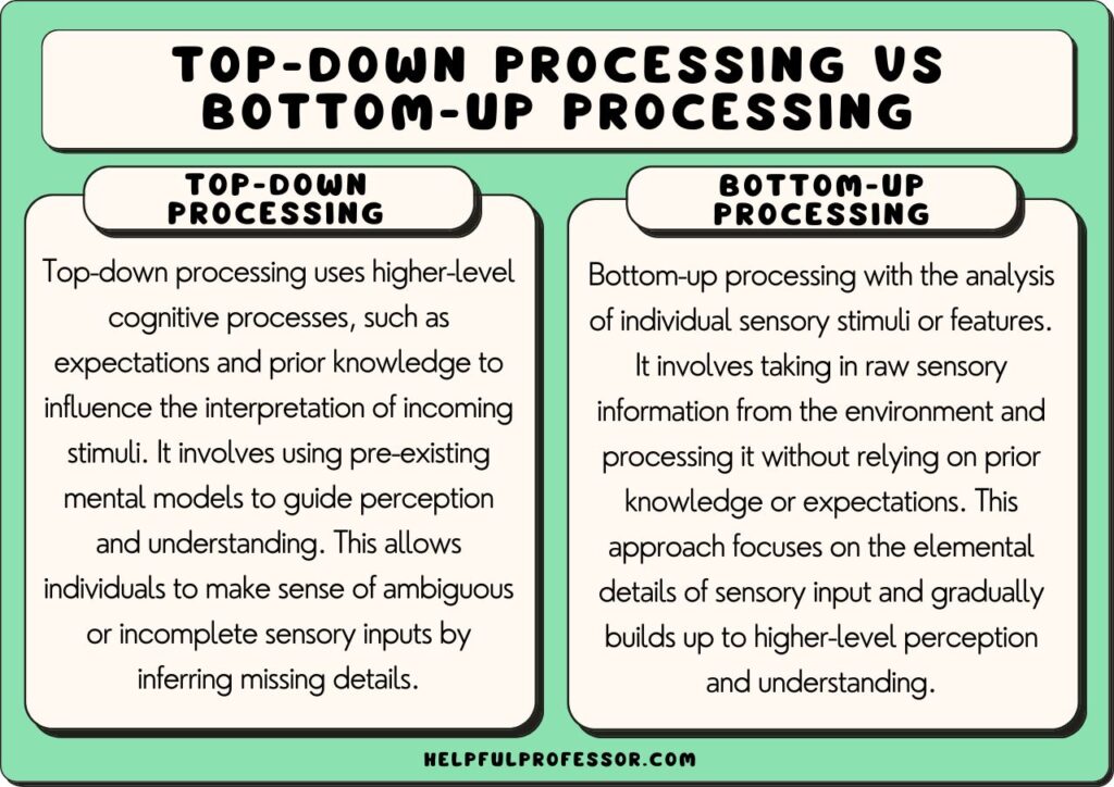 examples of top down processing in everyday life