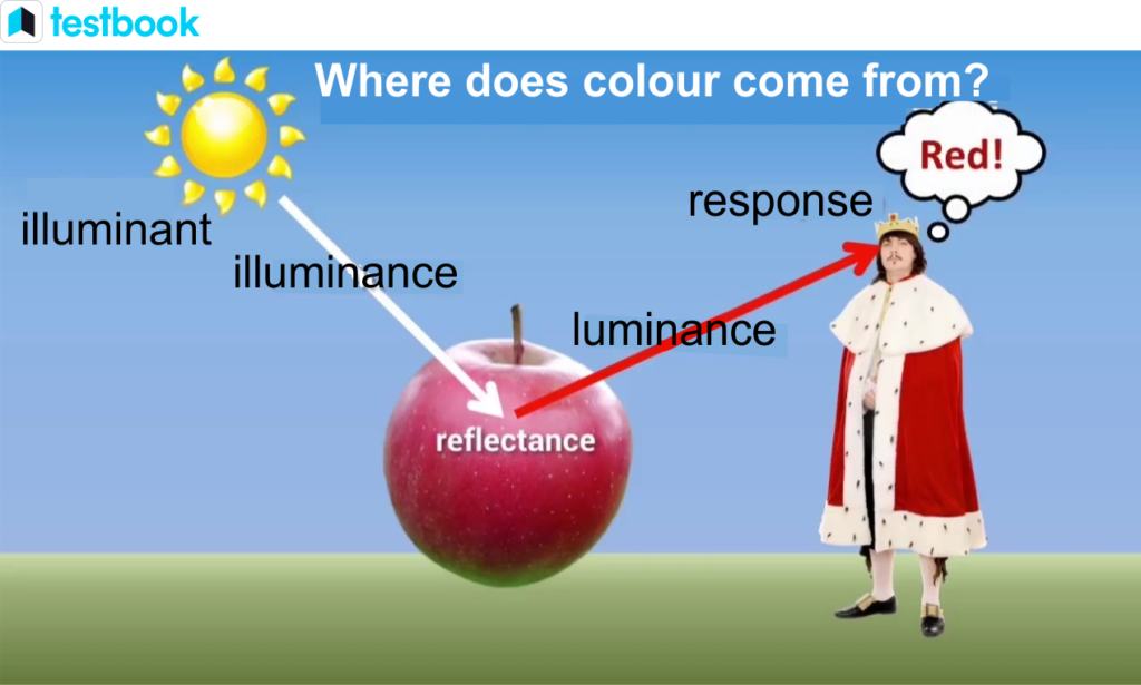 examples of transmission of light in everyday life