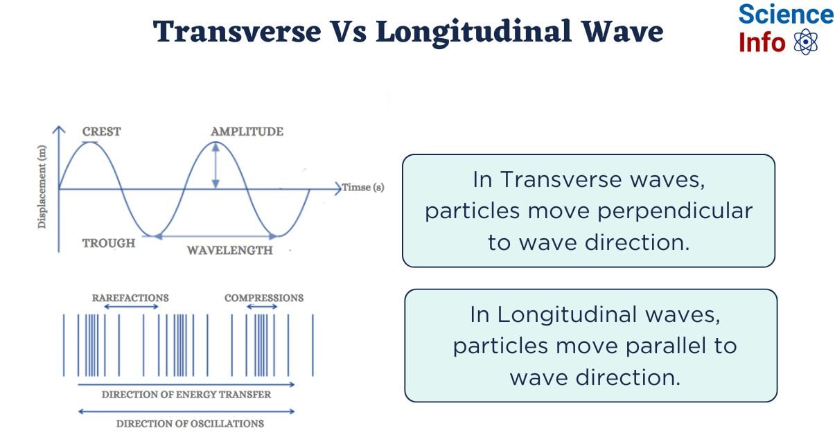 Examples Of Transverse Waves Key Types Explained Examples Of Transverse Waves Key Types Explained