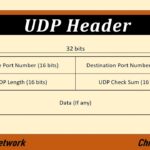 Examples of UDP Header in Networking Applications examples of udp header in networking applications