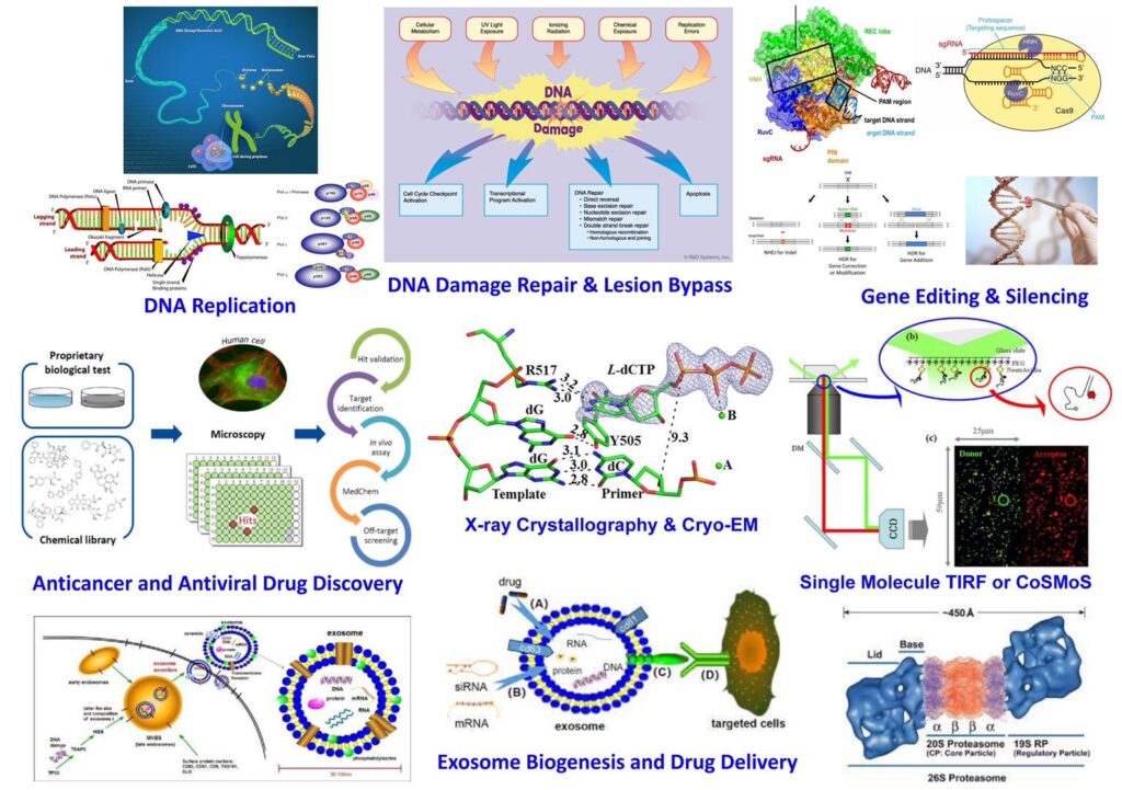 examples of using web of science fsu for academic research