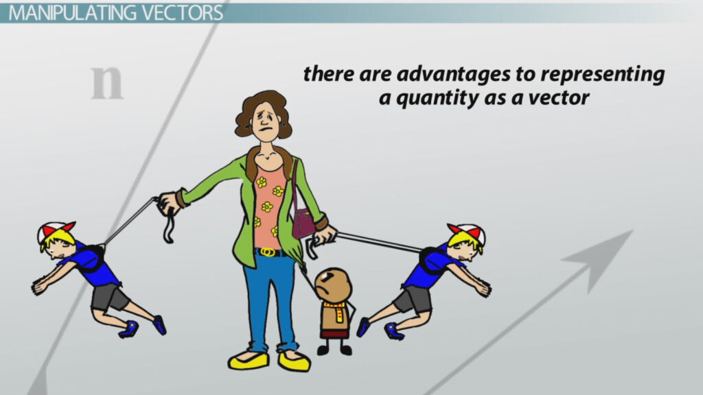examples of vectors in design and science