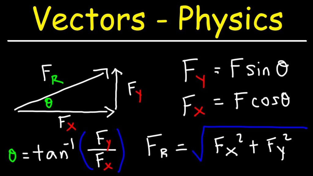 examples of vectors in math and physics