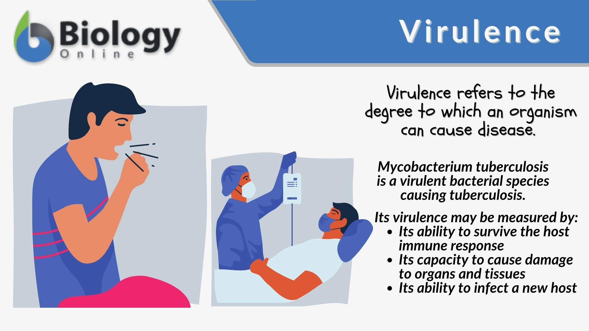examples of virulence factors key traits in pathogens