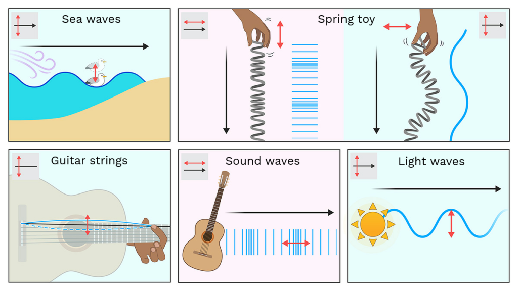 examples of waves in everyday life you encounter daily