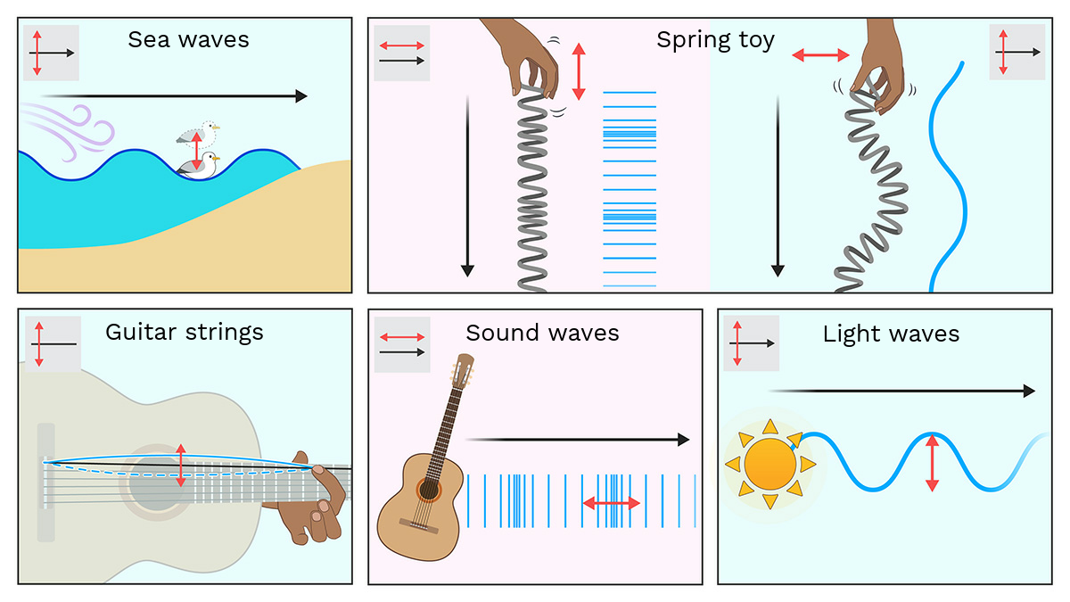 examples of waves in everyday life you encounter daily