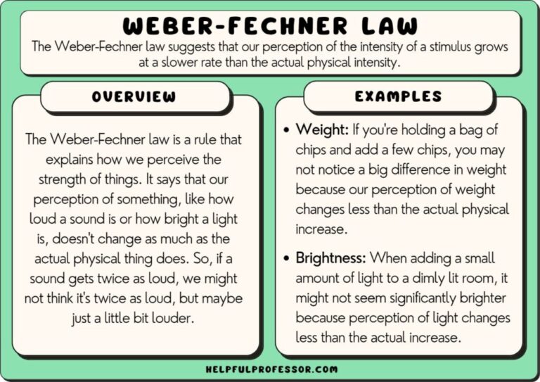 The Example Examples of Weber's Law in Everyday Perception