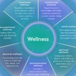 examples of wellness across all 6 dimensions of health