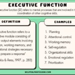 Examples of What Are the 7 Executive Functions Explained examples of what are the 7 executive functions explained