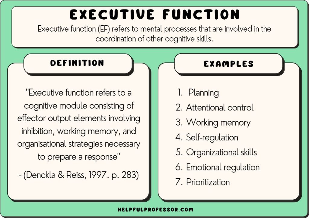 examples of what are the 7 executive functions explained