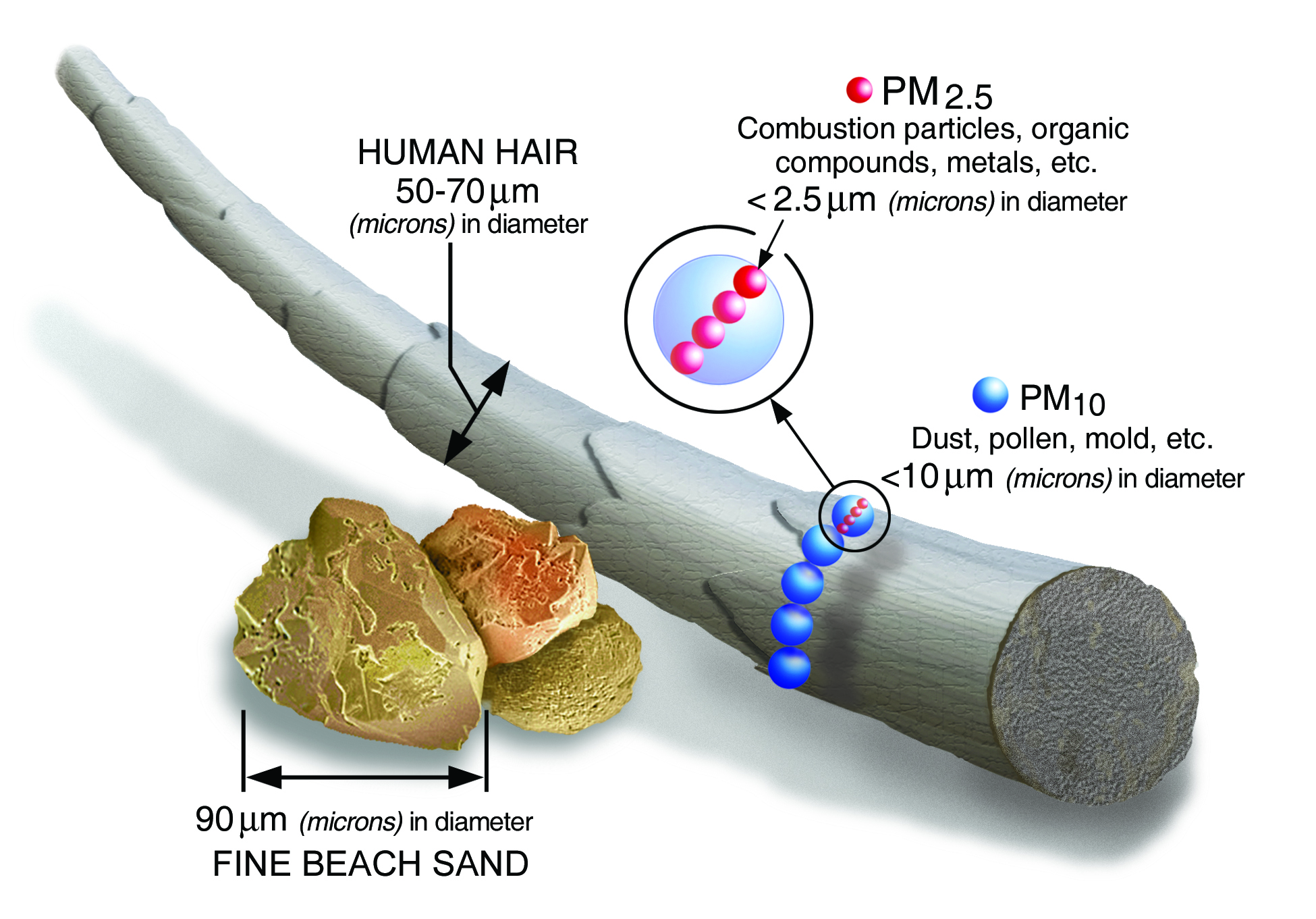 examples of what causes pm 2 5 pollution