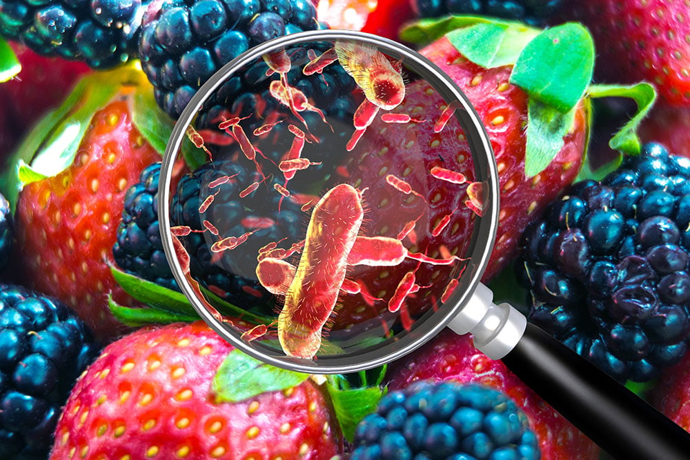 examples of which is a biological contaminant explained