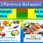 Examples of Which Vitamins Are Water Soluble examples of which vitamins are water soluble
