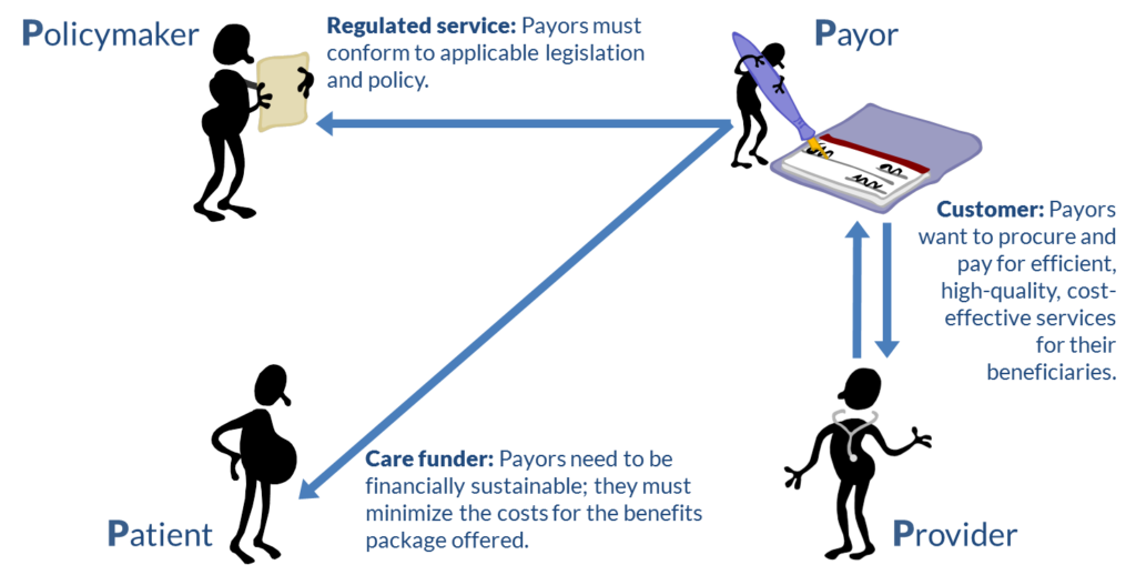 examples of who are payers in healthcare explained