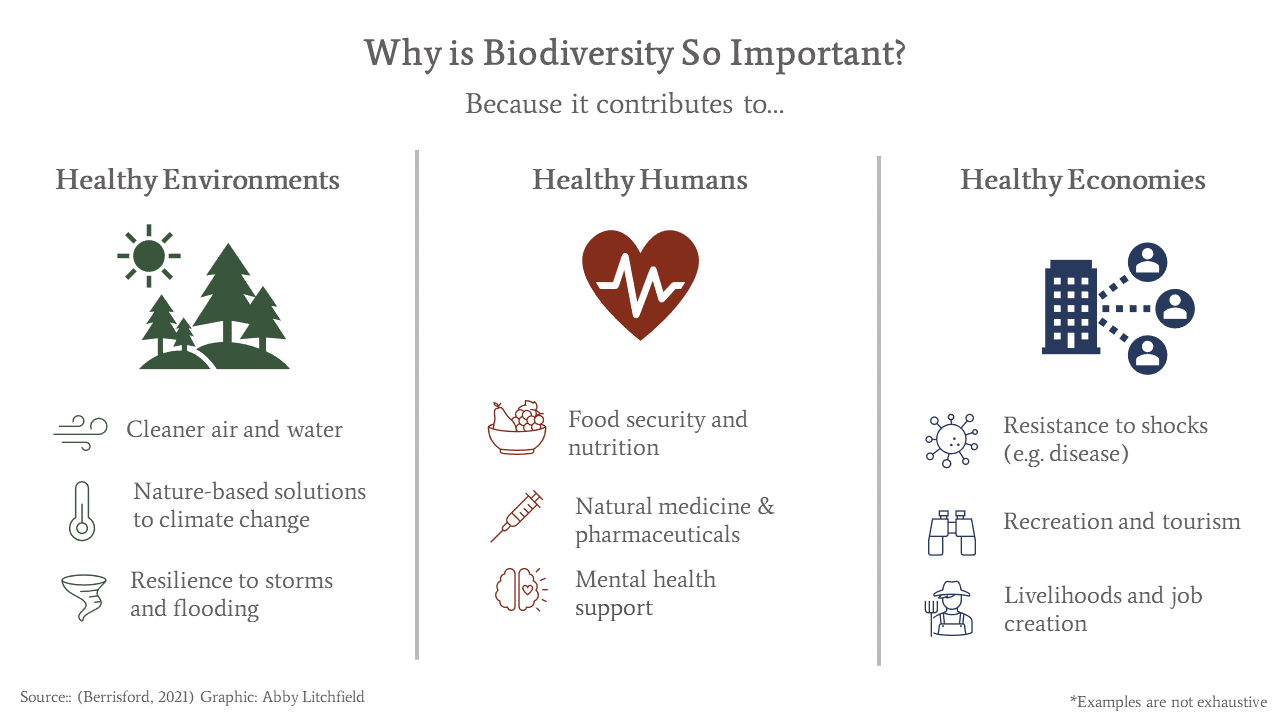 examples of why biodiversity is good for the economy
