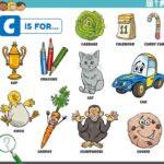 examples of words that start with co and their meanings