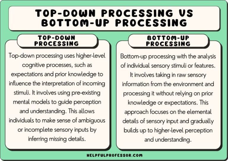 Examples That Demonstrate Bottom-Up Processing Explained