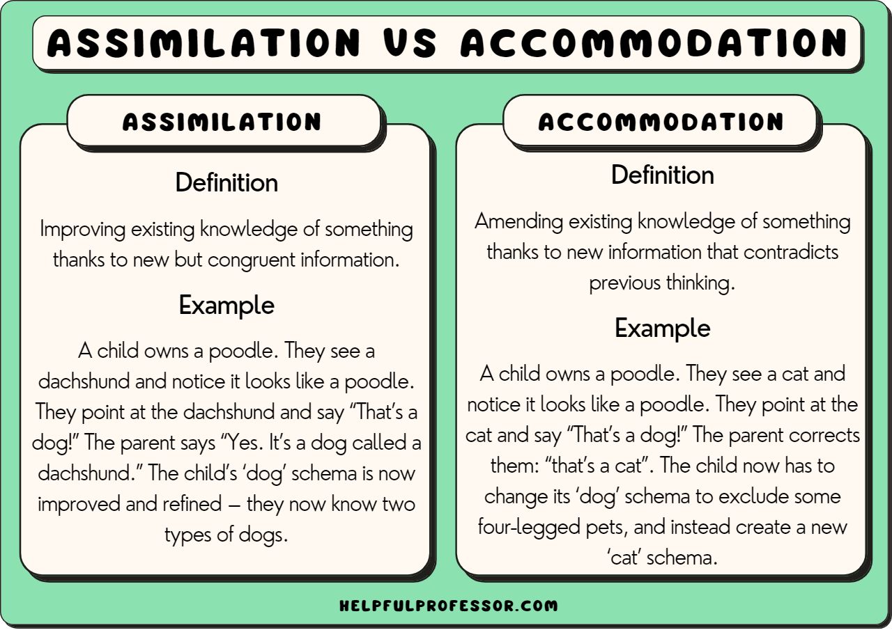 examples that represent piagets notion of assimilation