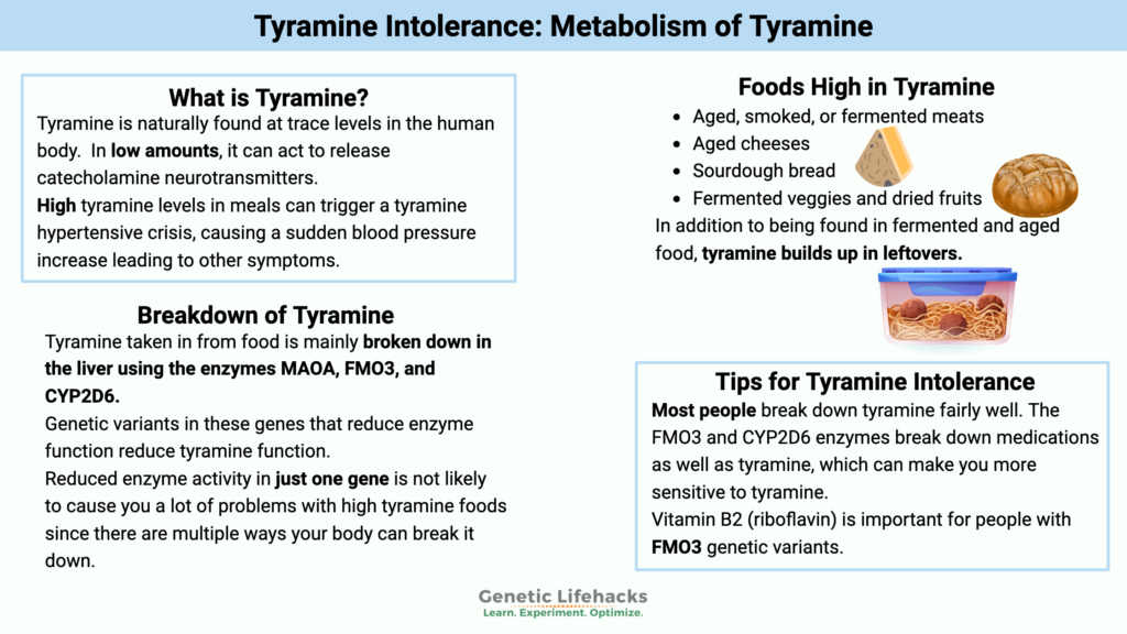foods high in tyramine know your triggers