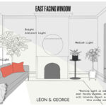 Indirect Sunlight for Plants: Key Examples indirect sunlight for plants key examples
