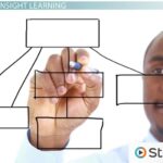 lack of insight meaning key examples explained