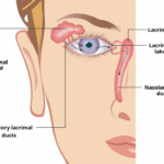 lacrimal functions and disorders for eye health