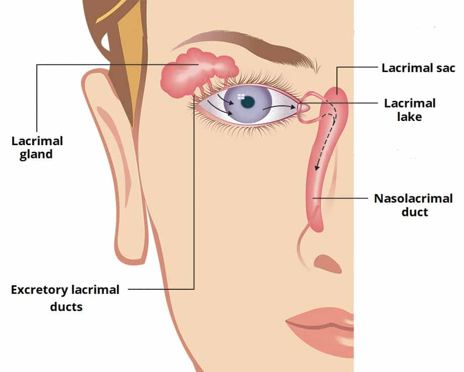 lacrimal functions and disorders for eye health
