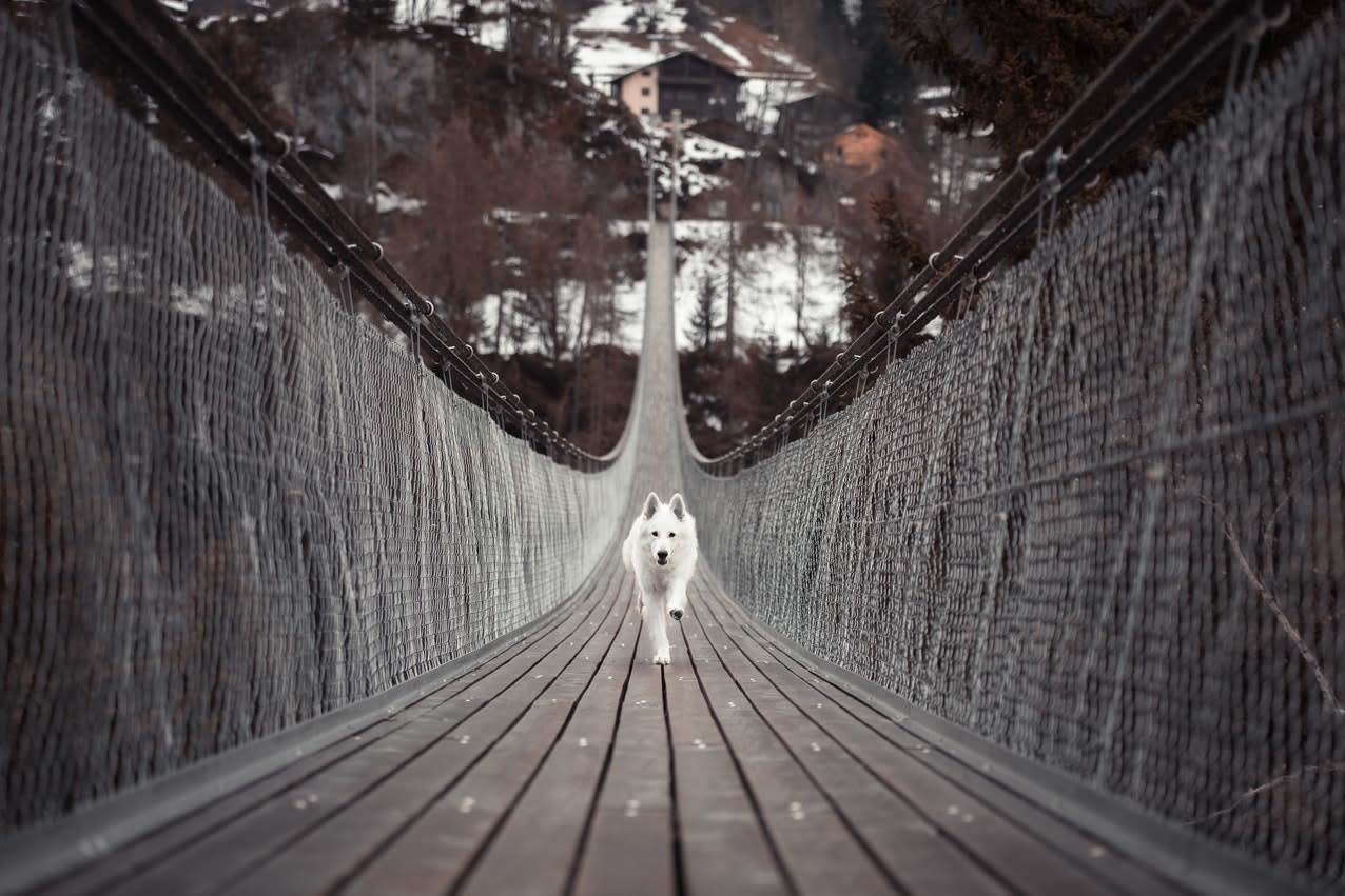 leading lines examples to enhance your photography