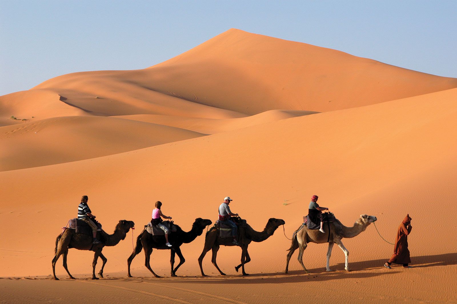 life and culture in the sahara desert