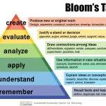 life examples of blooms taxonomy in education and business