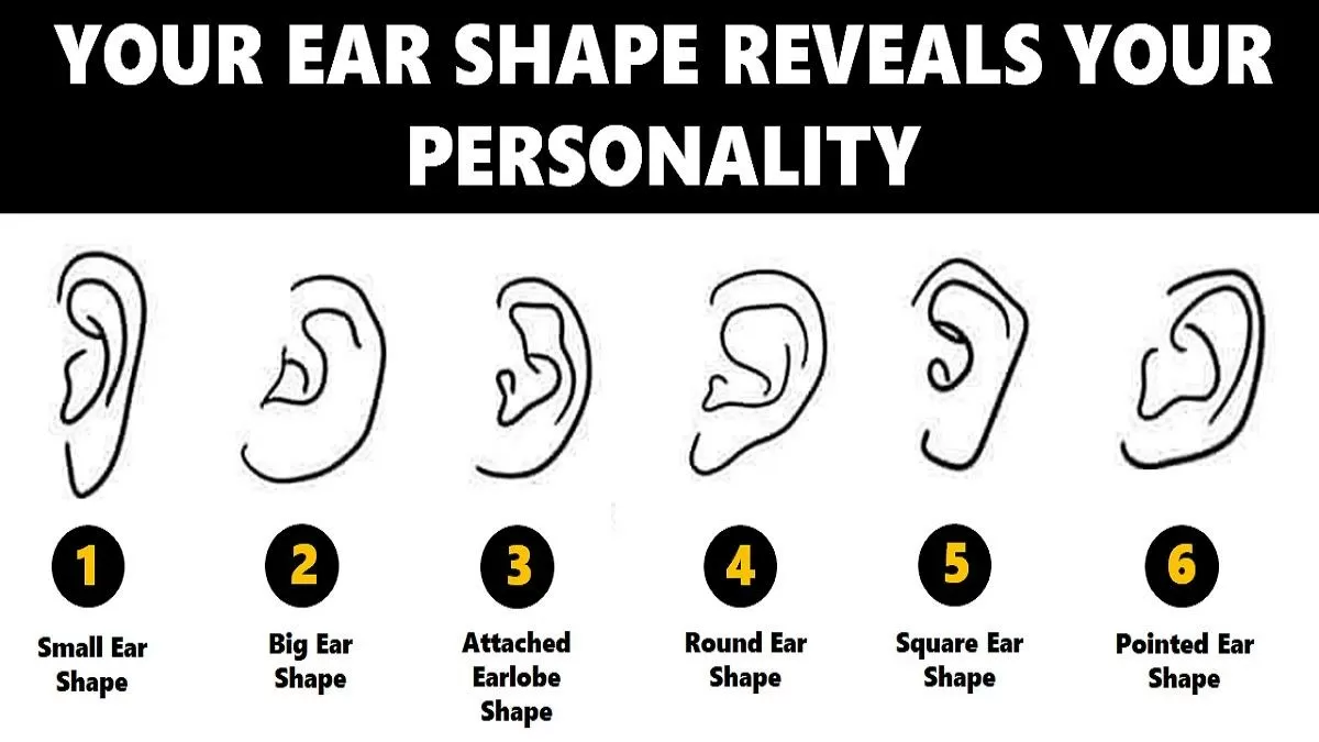 likes and dislikes examples that shape us