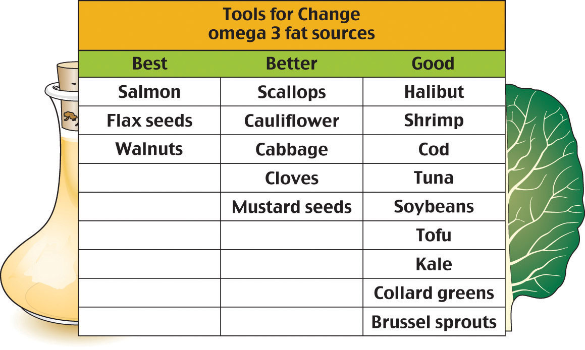lipid examples types and dietary sources