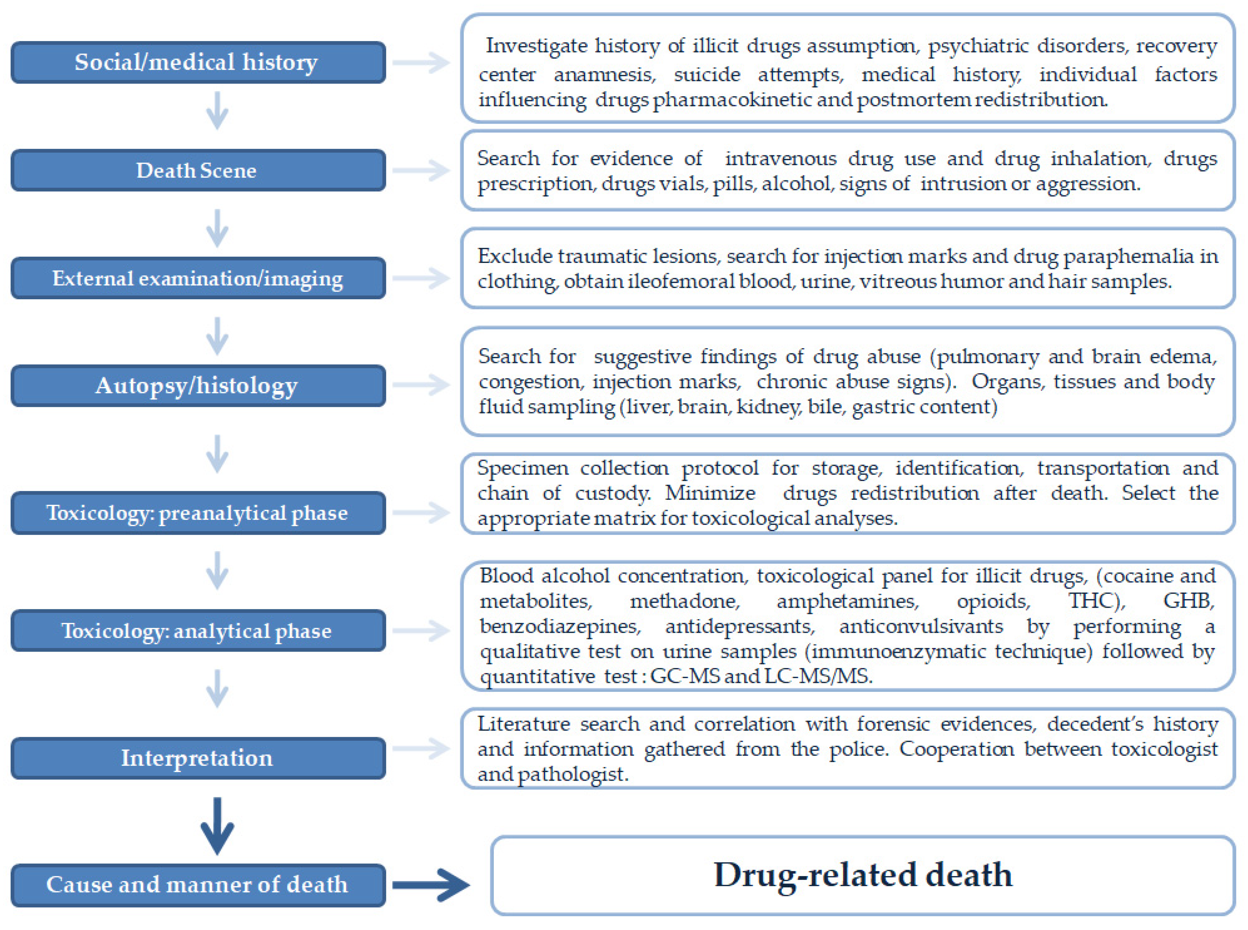 manner of death forensic key examples explained
