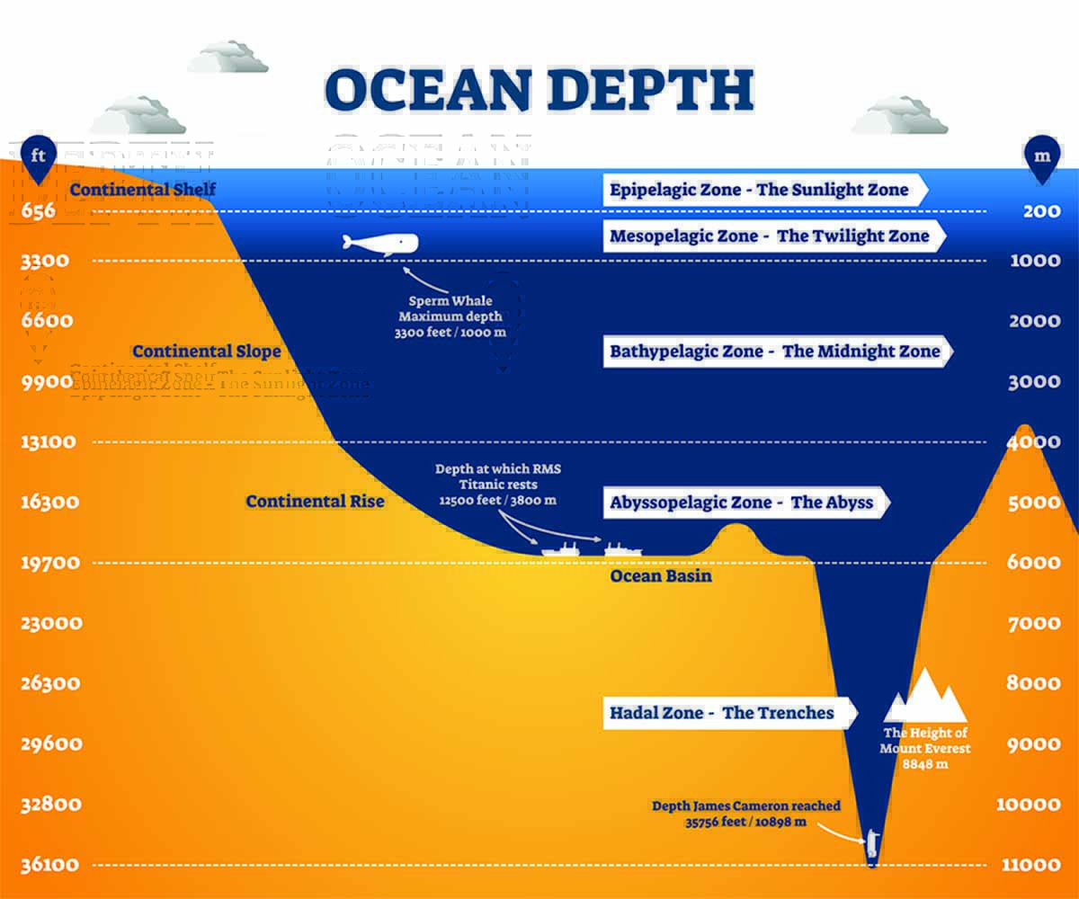 mariana trench depth in km key facts and examples