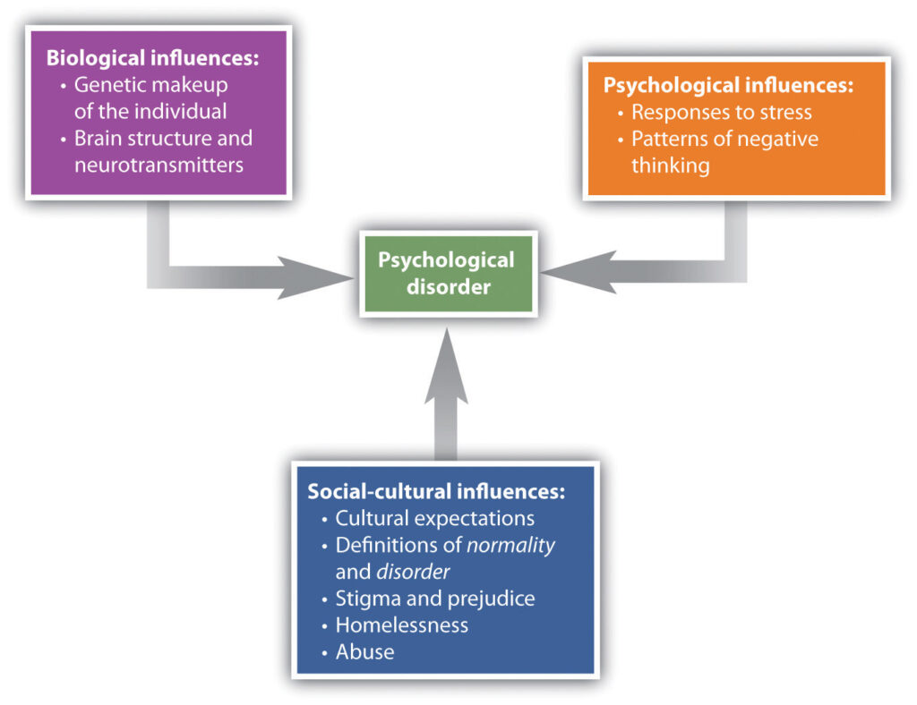 mental disorder key examples and insights