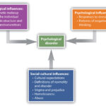 mental disorders key examples and insights