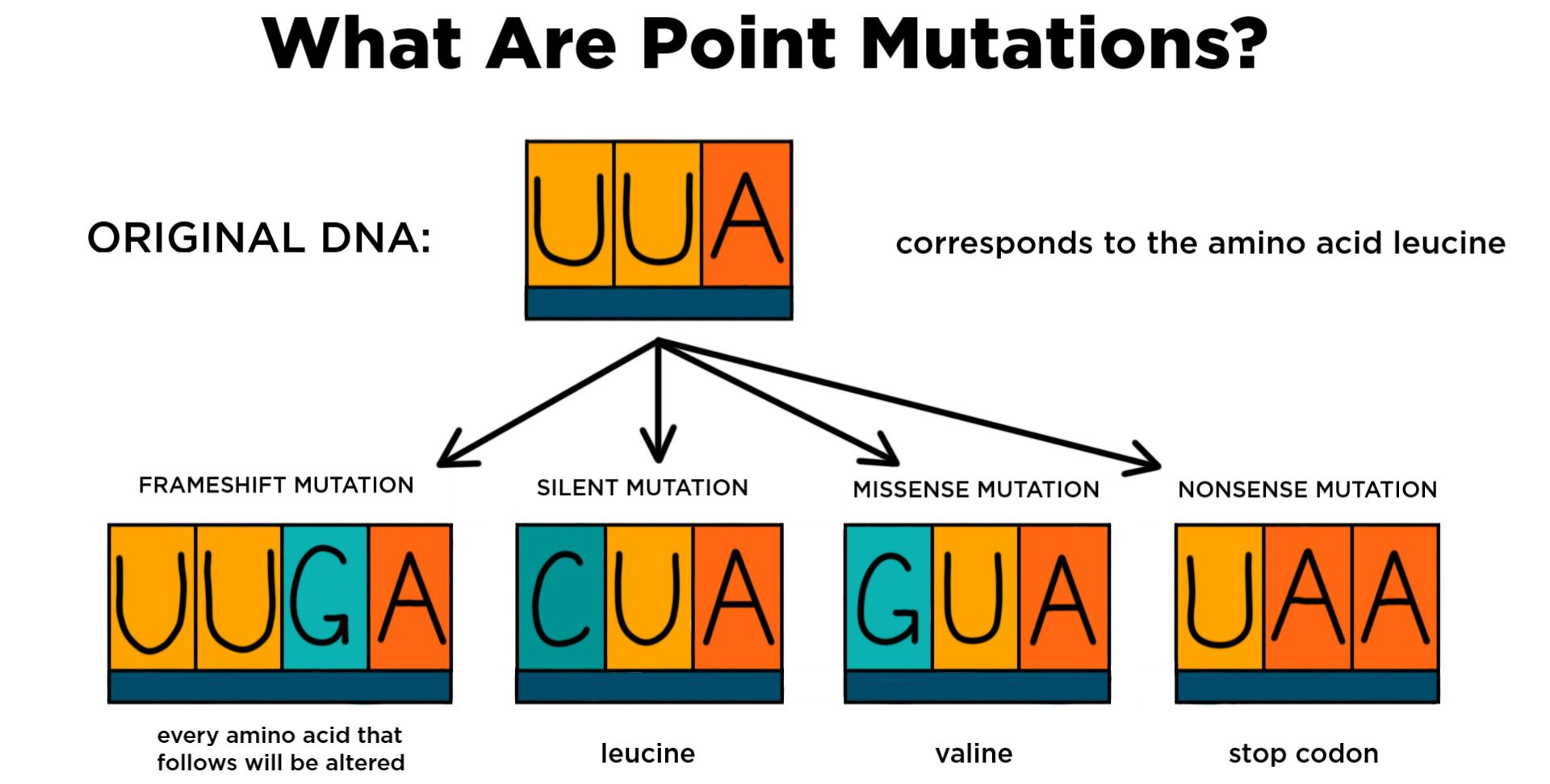 missense nonsense and silent mutation types