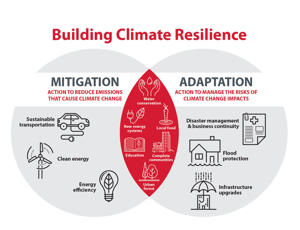 mitigation examples for a sustainable future 1