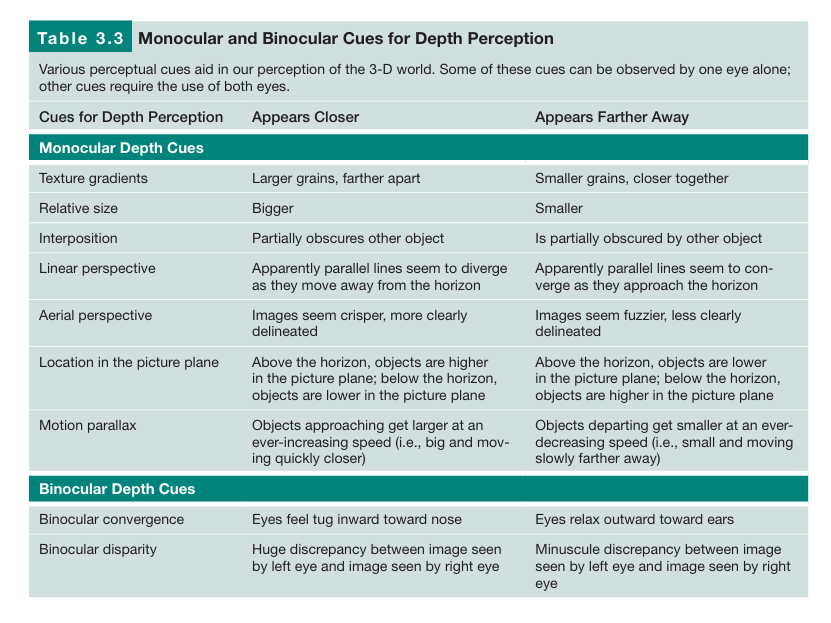 monocular cues vs binocular cues key differences explained