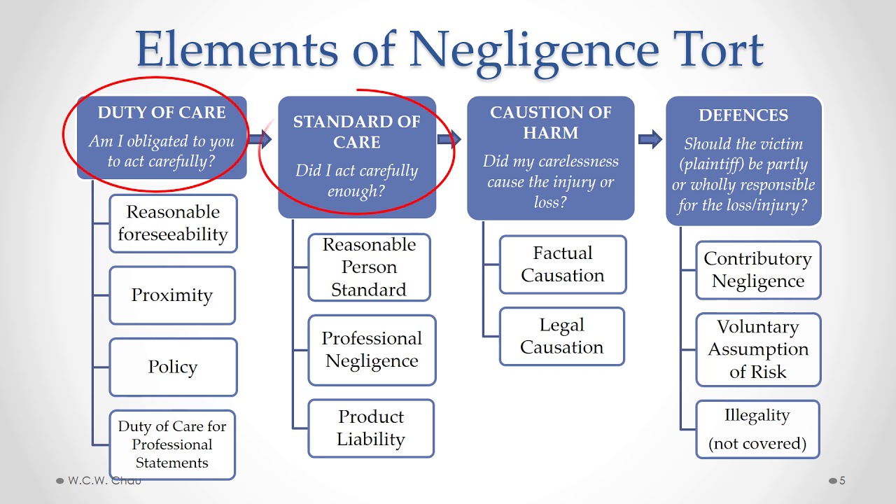 negligence tort examples for personal injury cases