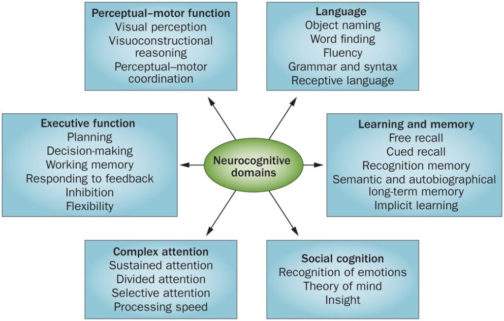 neurocognitive disorders key examples explained